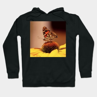 Butterfly Blooming Flower Hoodie